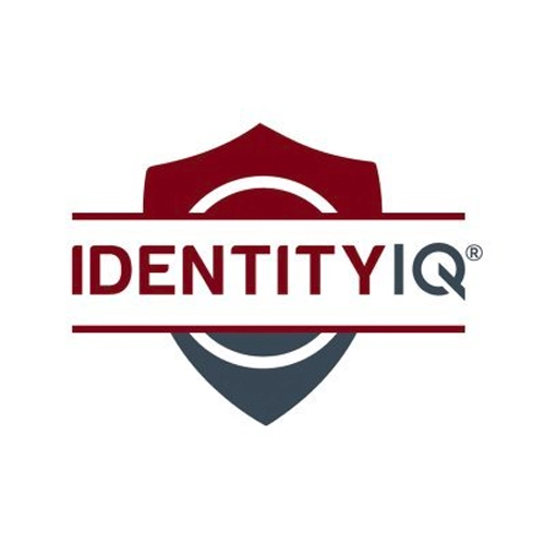 Identity IQ Logo
